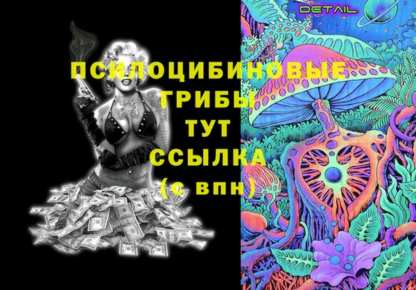 твердый Алексеевка