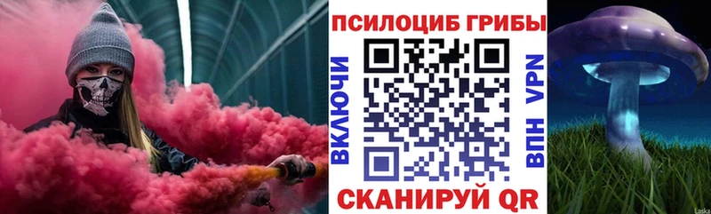 Галлюциногенные грибы Magic Shrooms  MEGA tor  Спасск  где найти наркотики 